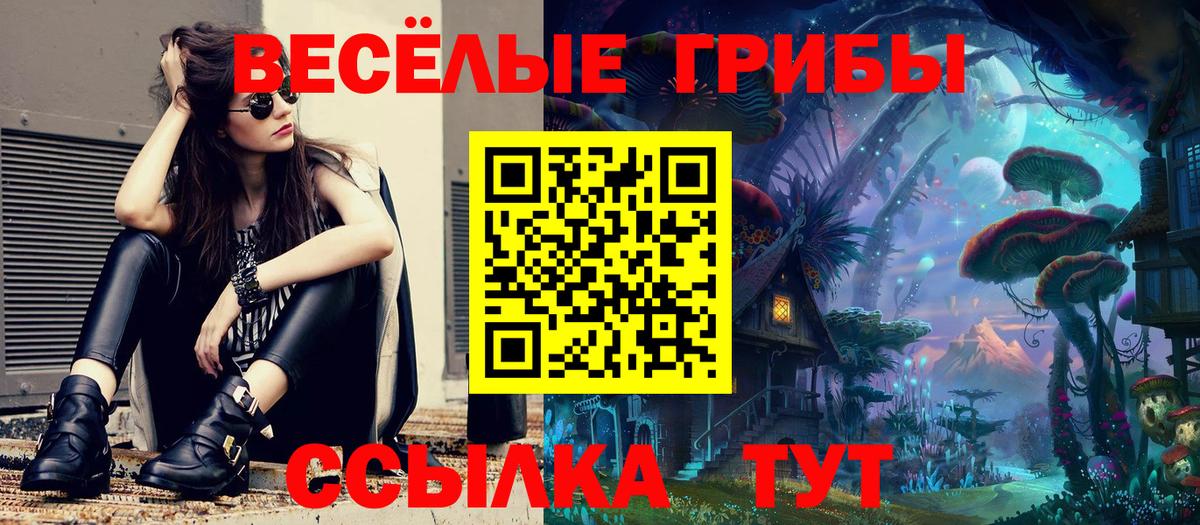 Псилоцибиновые грибы Воркута