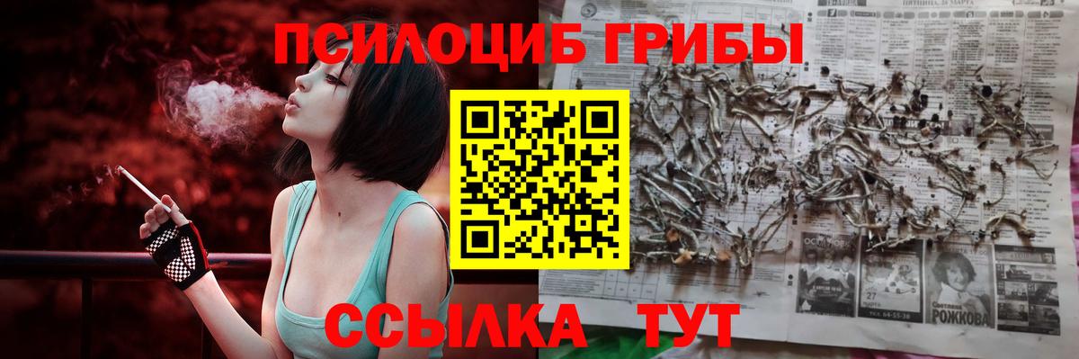 Псилоцибиновые грибы мухоморы Воркута