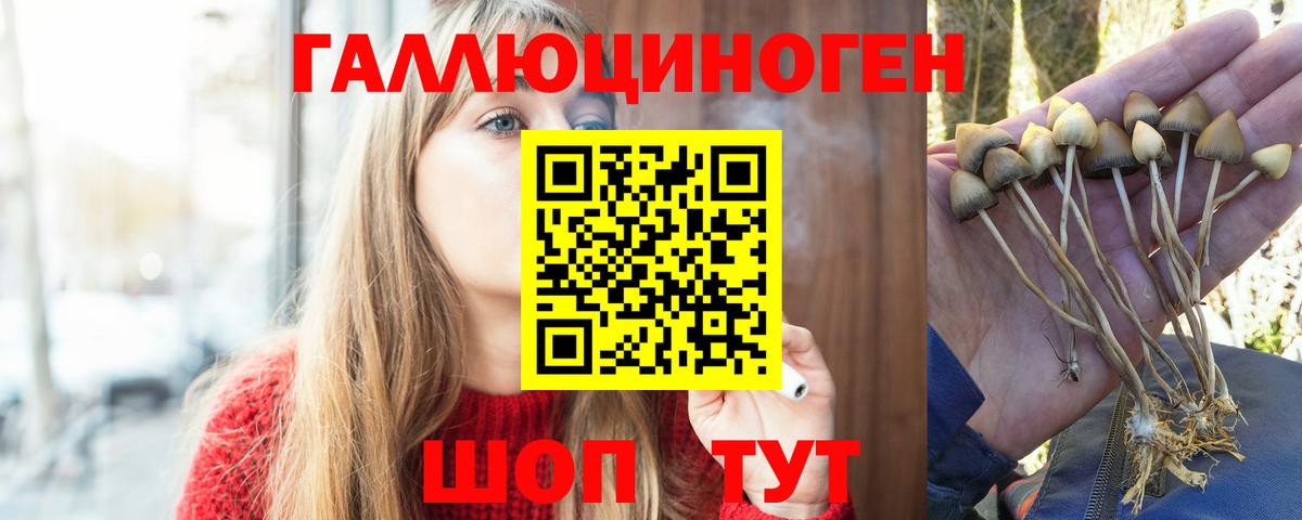 где продают   Галлюциногенные грибы Psilocybine cubensis  Вход с VPN  Воркута 